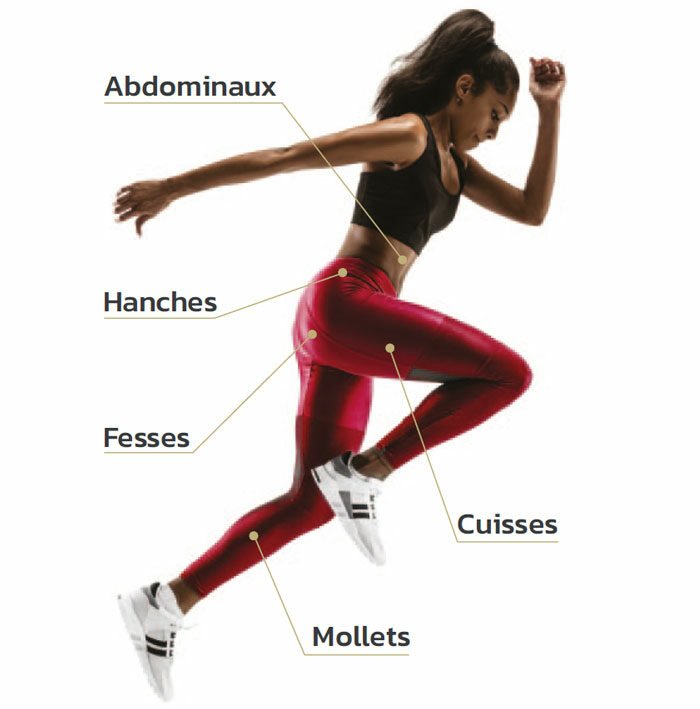Muscle groups targeted by INFRABIKE